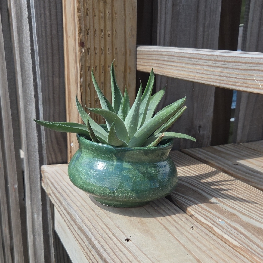 Handmade Glazed Ceramic Pottery 4.75" Succulent Planter